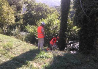 Piano degli interventi per il ripristino dell’officiosità idraulica del reticolo idrografico regionale – anno 2019. Fiume Nera, fossi Toano, Valenza, Rivo, Calcinare, Lagarello, Fiacchignano, Sambuco dell'Arena, Amerino e fiume Tevere nei comuni di Terni,