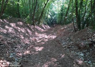 FOSSO DELL'EREMITA IN COMUNE DI ACQUASPARTA - EVENTI ALLUVIONALI 8/6/2020 - INTERVENTO DEL CONSORZIO