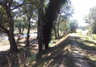 Piano degli interventi per il ripristino dell’officiosità idraulica del reticolo idrografico regionale – anno 2019. FIUME NERA E ASTA URBANA DEI FOSSI LAGARELLO, RIVO, VALENZA, STRONCONE E TORRENTE AIA DI NARNI