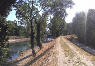 Piano degli interventi per il ripristino dell’officiosità idraulica del reticolo idrografico regionale – anno 2019. FIUME NERA E ASTA URBANA DEI FOSSI LAGARELLO, RIVO, VALENZA, STRONCONE E TORRENTE AIA DI NARNI