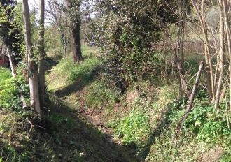 Manutenzione del Fosso di Collescipoli in Comune di Terni