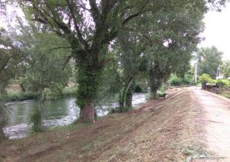 Interventi ripristino officiosità idraulica - asta urbana Fiume Nera