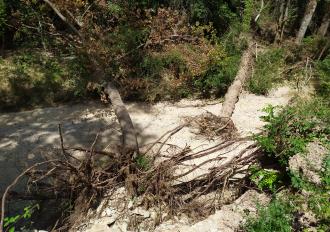 Lavori di manutenzione del Torrente Arnata in Comune di Todi