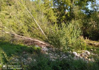 Manutenzione anno 2020 Torrente Rio Grande