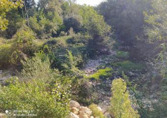 Manutenzione anno 2020 Torrente Rio Grande