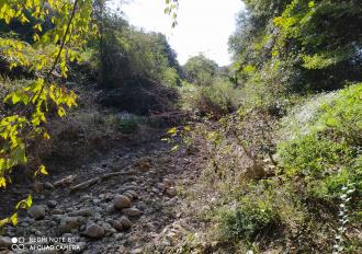 Manutenzione anno 2020 Torrente Rio Grande