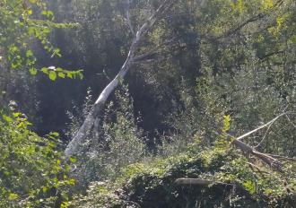 Manutenzione anno 2020 Torrente Rio Grande