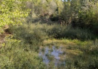 Manutenzione anno 2020 Torrente Rio Grande