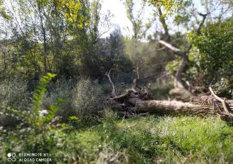 Manutenzione anno 2020 Torrente Rio Grande