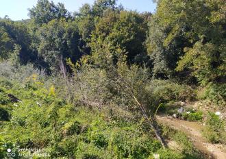 Manutenzione anno 2020 Torrente Rio Grande