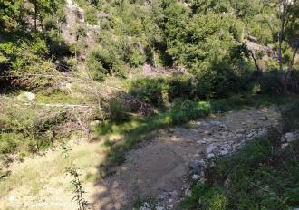 Manutenzione anno 2020 Torrente Rio Grande