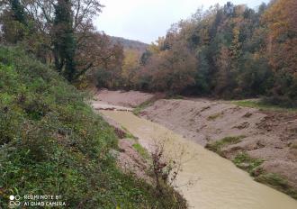 Manutenzione anno 2020 Torrente Rio Grande