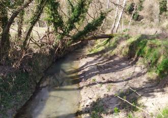 Intervento di manutenzione sul Torrente Rio Torbido in Comune di Bagnoregio