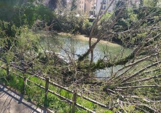 MANUTENZIONE SPONDE FIUME NERA 2021