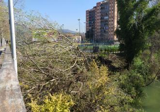 MANUTENZIONE SPONDE FIUME NERA 2021