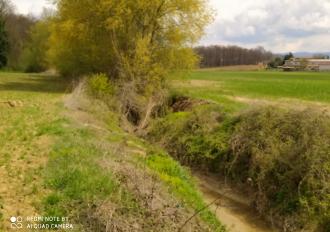 Colle Fiorito in Comune di Montecastrilli