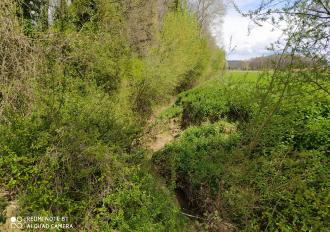 Colle Fiorito in Comune di Montecastrilli