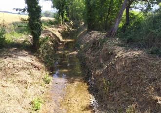 Manutenzione Fosso di Massa Martana 2021