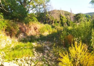 MANUTEZIONE TORRENTE RIO GRANDE IN COMUNE DI AMELIA