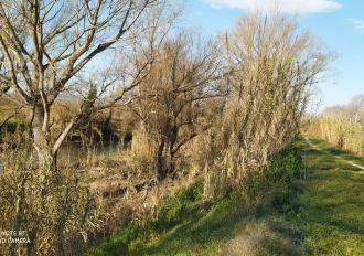 MANUTENZIONE SPONDE FIUME NERA 