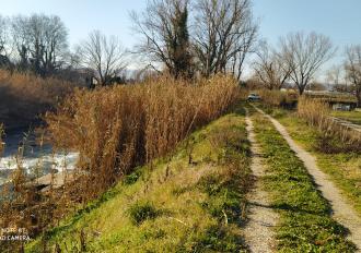 MANUTENZIONE SPONDE FIUME NERA 