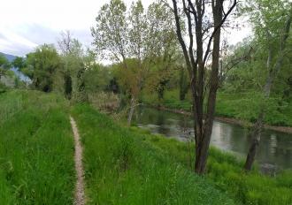 MANUTENZIONE SPONDE FIUME NERA 