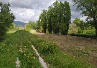 MANUTENZIONE SPONDE FIUME NERA 