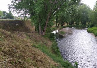 MANUTENZIONE SPONDE FIUME NERA 