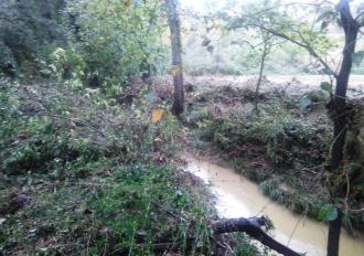 Danni alluvionali 16 Novembre 2019 Torrente Aia di Otricoli