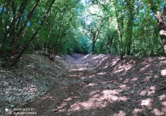 FOSSO DELL'EREMITA IN COMUNE DI ACQUASPARTA - EVENTI ALLUVIONALI 8/6/2020 - INTERVENTO DEL CONSORZIO