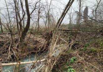 Lavori sul Torrente Rigo in Comune di Graffignano